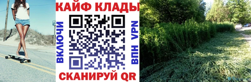 Купить закладку Кокаин  Меф мяу мяу  Псилоцибиновые грибы  ГАШ  СК  Брюховецкая