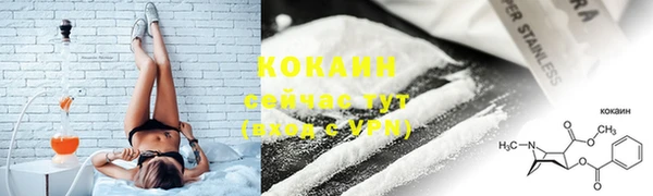 стафф Осинники