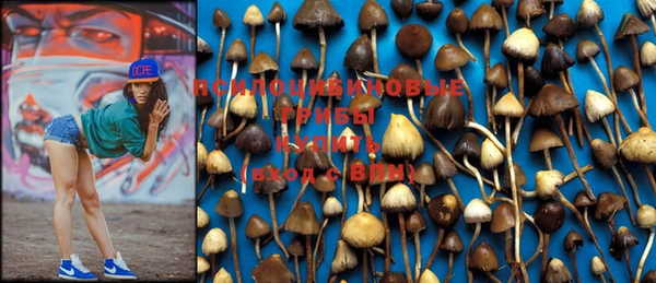 скорость Пересвет